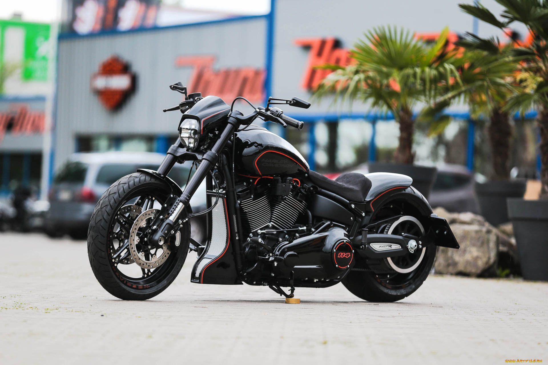 , , harley-davidson, , 
